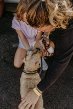 Load image into Gallery viewer, DREAM DOG
