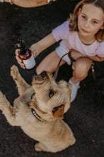 Load image into Gallery viewer, DREAM DOG

