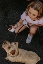Load image into Gallery viewer, DREAM DOG
