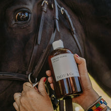 Load image into Gallery viewer, Dream HORSE
